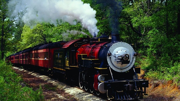 Steam Locomotive with Passenger Cars in Forest