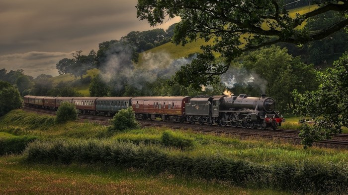 Old steam locomotive pulling carriages through a green landscape