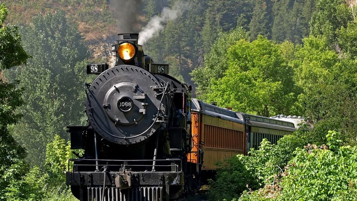 Old steam locomotive 98 traveling through a forest