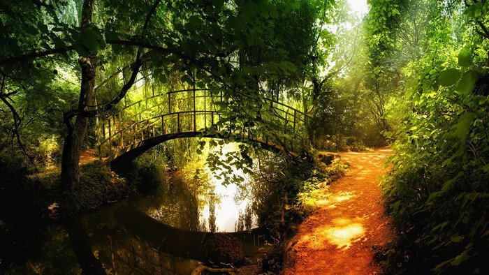 Park bridge over a stream with a path