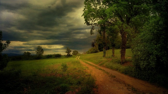 Dirt road through a grassy field under stormy clouds