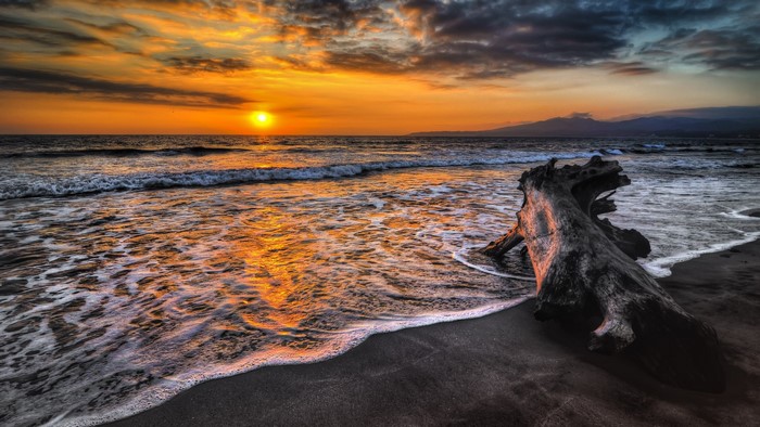 Sunset over the ocean with driftwood