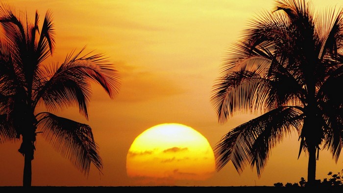 Sunset over Kailua Kona, Hawaii with palm trees