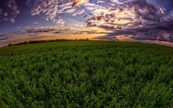 Green field under a dramatic sunset sky