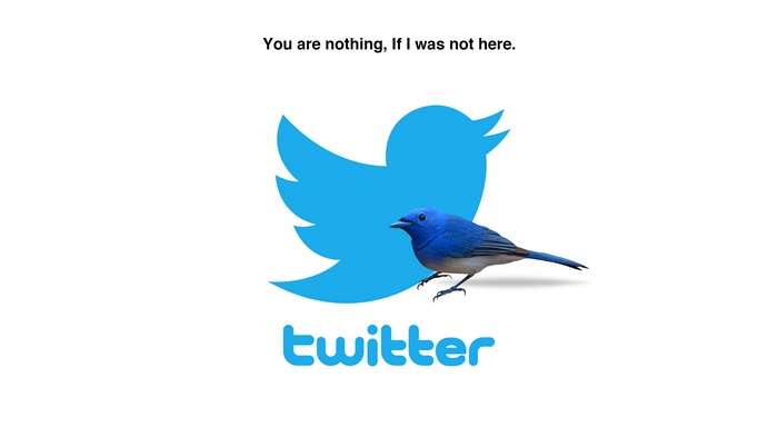 Twitter logo with a bird and text