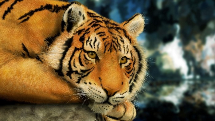 Tiger resting on a rock