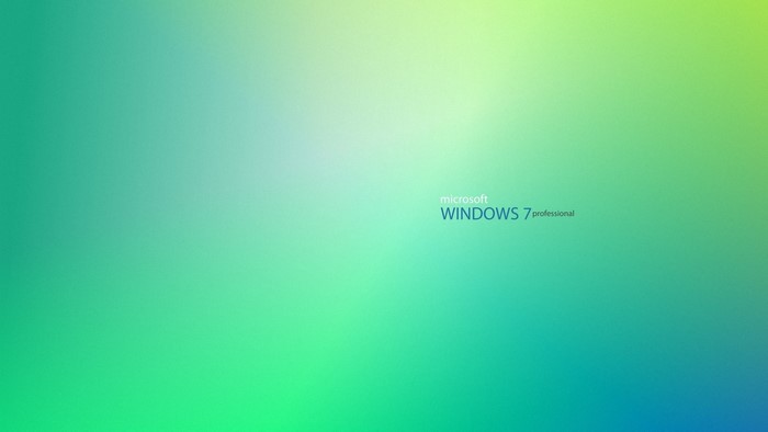 Microsoft Windows 7 Professional