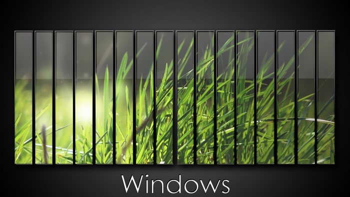 Windows logo with grass