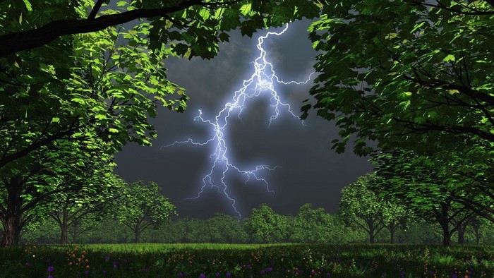 Lightning strike over a grassy field with trees