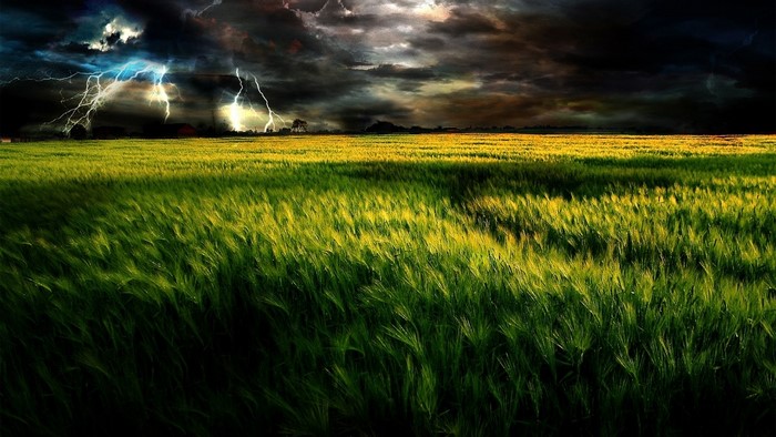 Wheat field with lightning storm