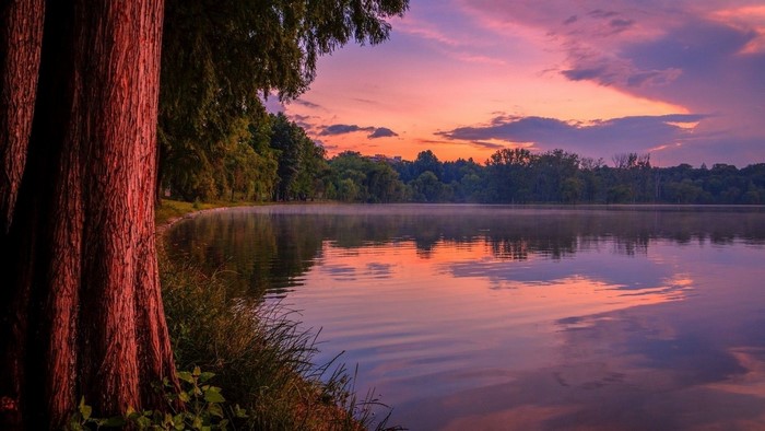 Lake at sunset with trees