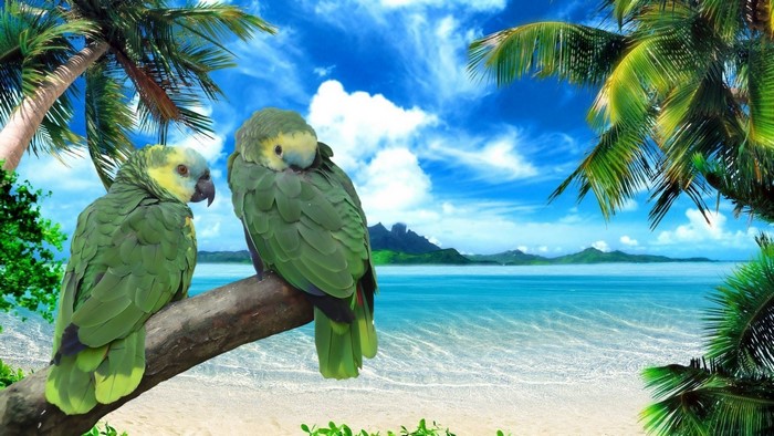 Two Green Parrots on a Branch by the Ocean