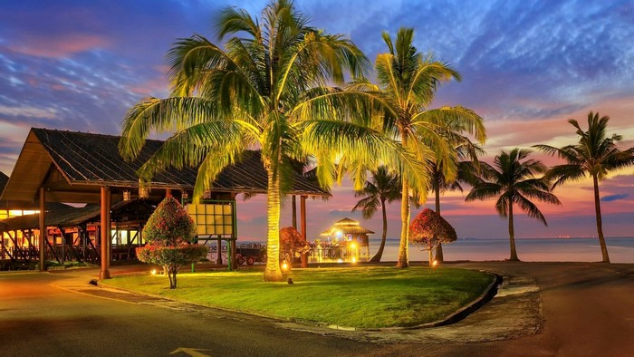 Tropical resort with palm trees at sunset