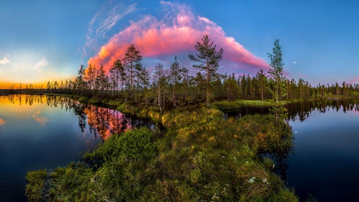 Pink cloud over forest lake at sunset