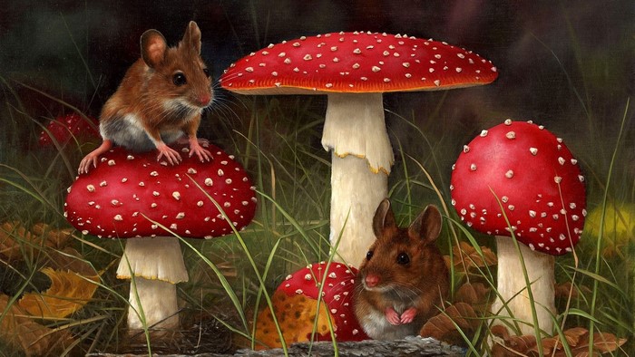 Field mice on mushrooms