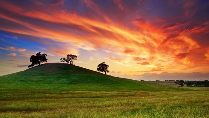 Sunset over a grassy hill with trees in California
