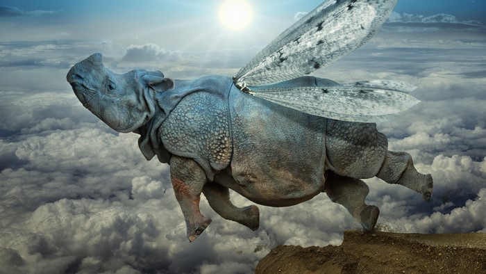 Flying Rhino with Wings in the Sky