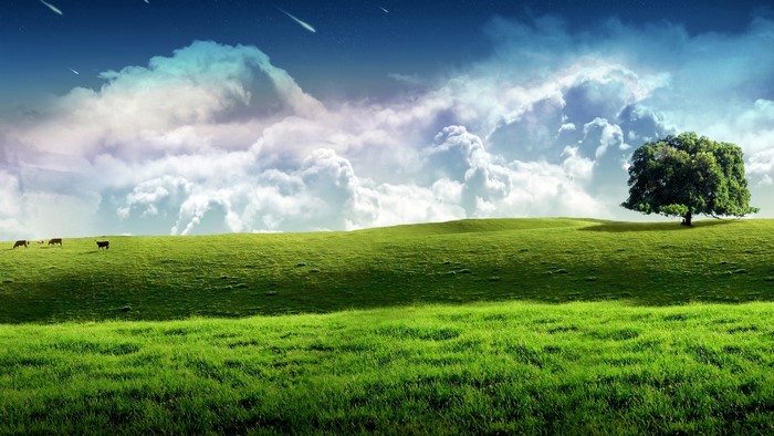Green rolling hills with a lone tree and cows under a cloudy sky