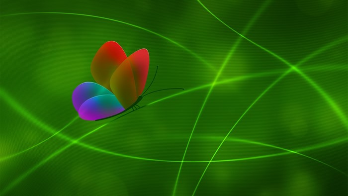 Abstract Butterfly with Green Lines
