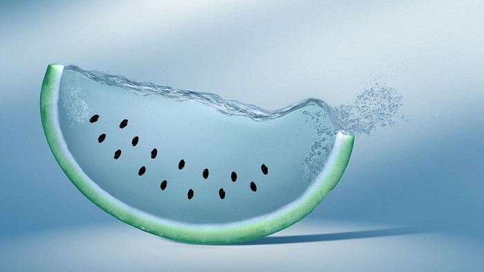 Slice of watermelon filled with water