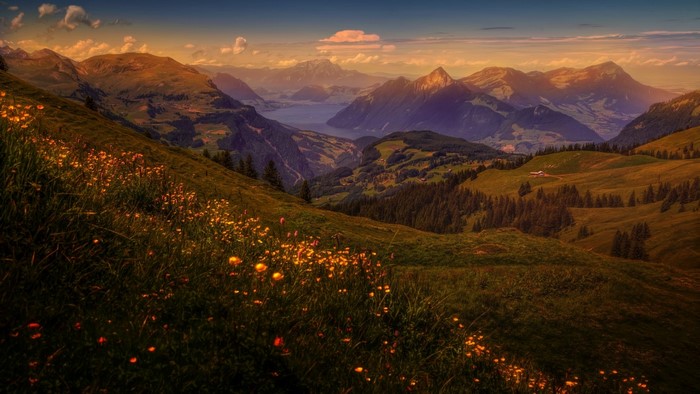 Mountain landscape with lake and wildflowers