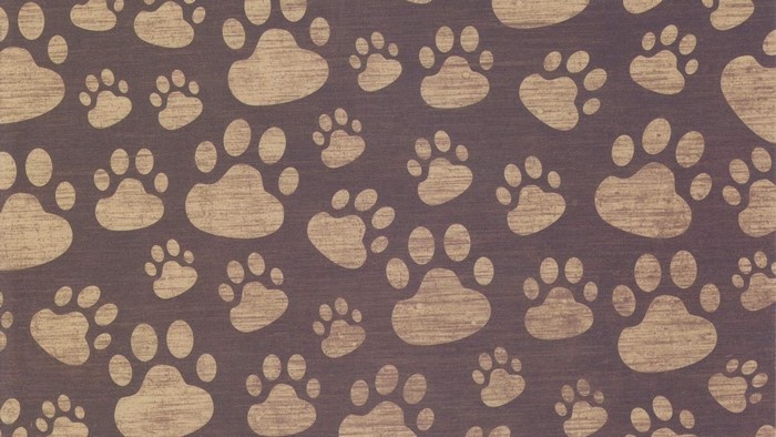 Paw Print Pattern