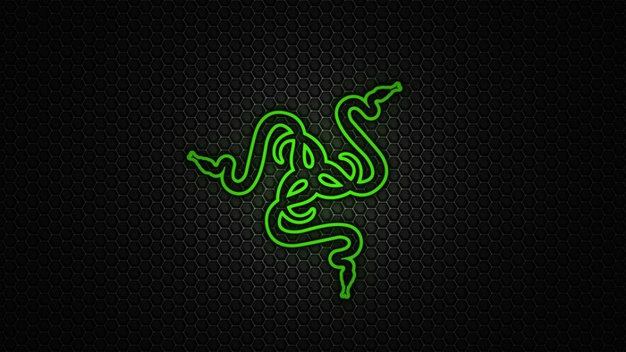 Razer logo on hex mesh