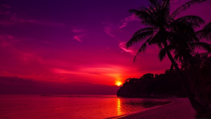 Thailand Beach Sunset with Palm Trees
