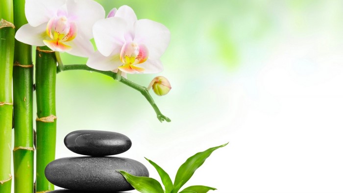 Spa Stones Bamboo and Pink Orchid Flowers