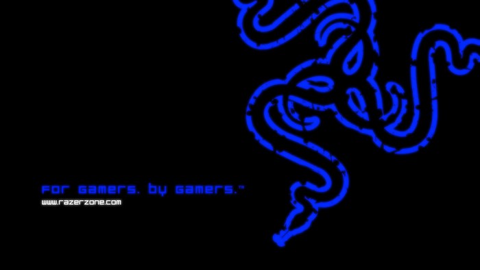 Razer logo and slogan