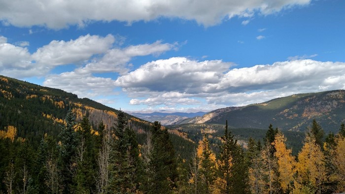 Fall colors near Evergreen, Colorado