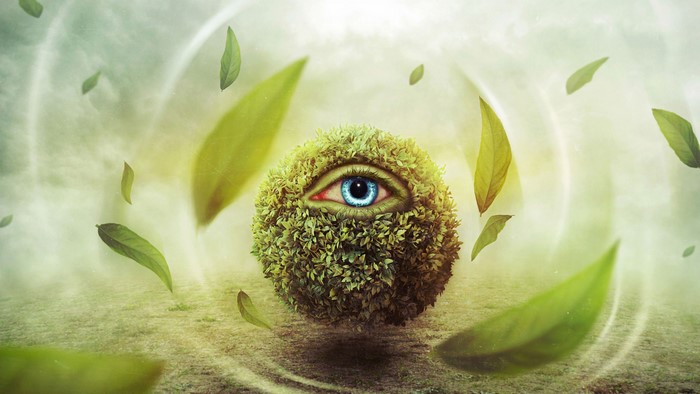 4K Mother Nature Eye Orb