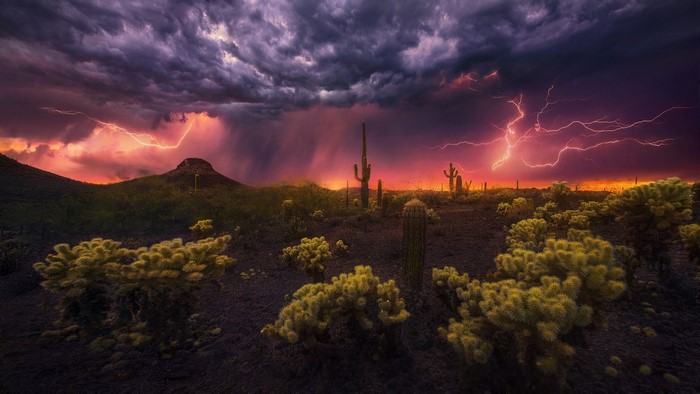 Lightning strikes over a desert landscape with cacti