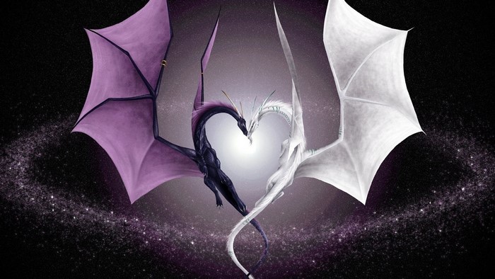 Two dragons forming a heart shape