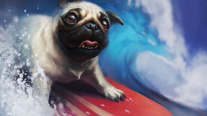 A pug surfs on a red surfboard in a wave