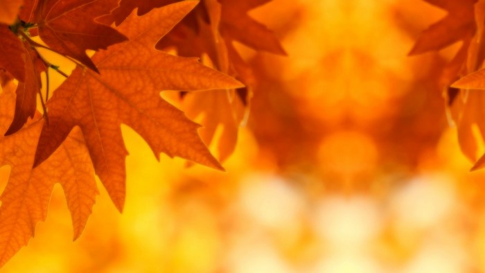Autumn Leaves