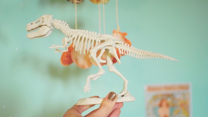 Dinosaur skeleton model held by hand