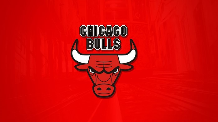 The Chicago Bulls Logo
