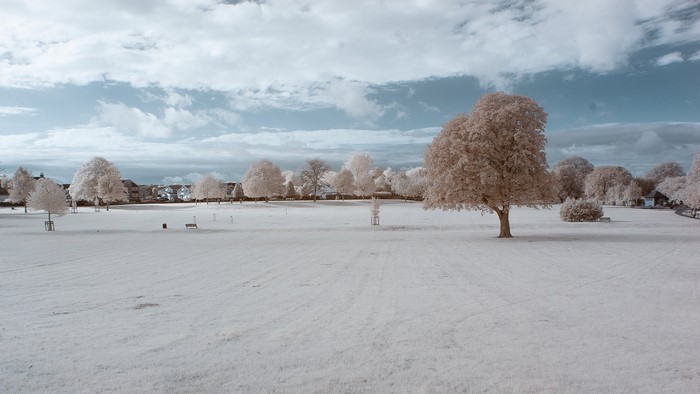 Infrared landscape with trees and houses