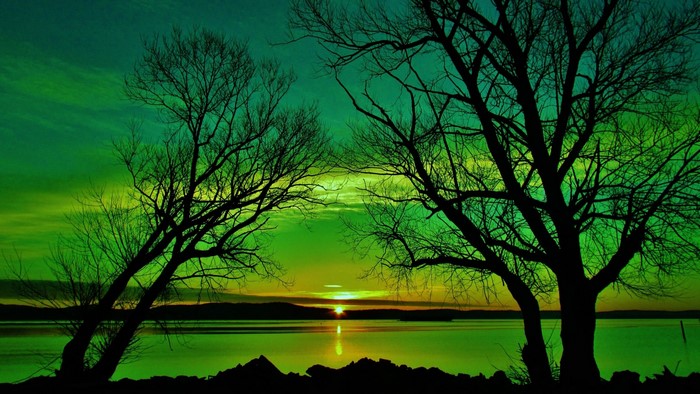 Green Sunset over Lake with Silhouetted Trees