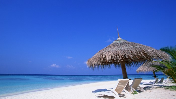 Beach with palm umbrellas and lounge chairs