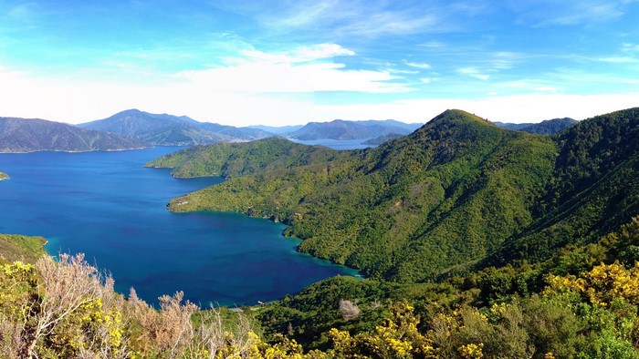 Queen Charlotte Track Marlborough Sounds New Zealand