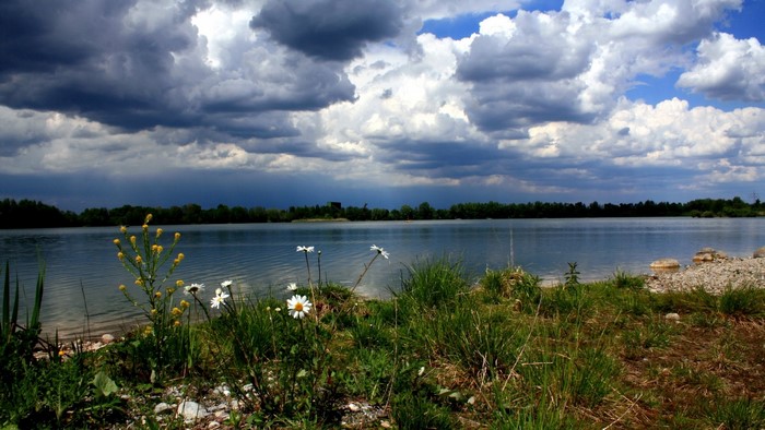 Lake with storm clouds and flowers