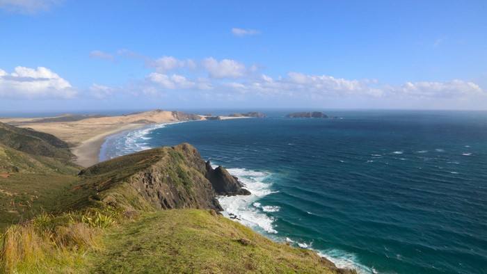 Scenic view of a New Zealand coastline with a beach and ocean