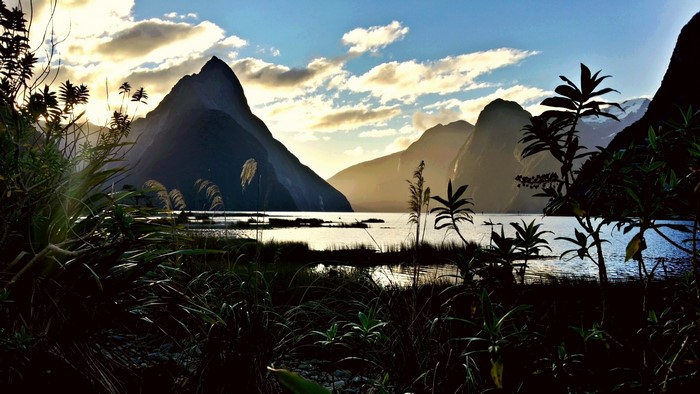 Milford Sound, New Zealand at sunset