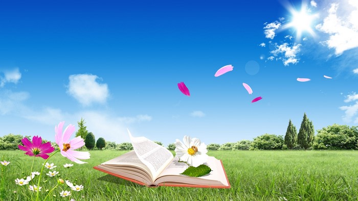 Open book in a grassy field with flowers and blue sky
