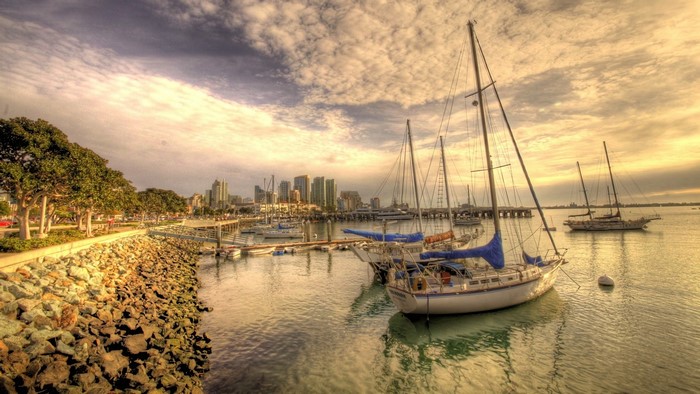 Sailboats docked in San Diego harbor with city skyline