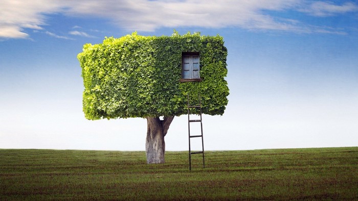 A tree house with a window and ladder