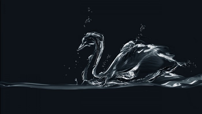 Swan made of water on a dark background