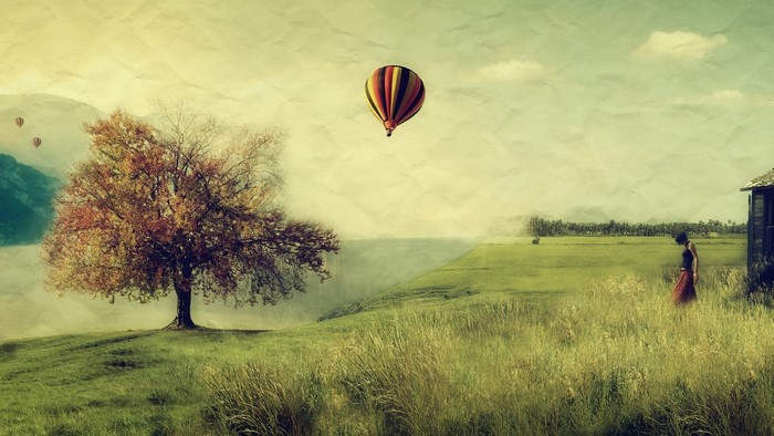 Hot air balloon over a grassy field with a tree